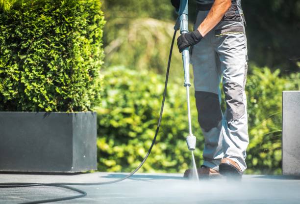 Best Solar Panel Cleaning  in Adrian, MO