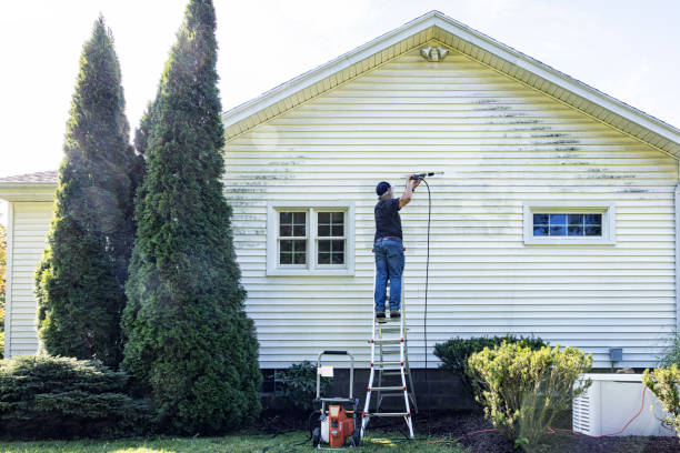 Best Sidewalk and Walkway Cleaning  in Adrian, MO